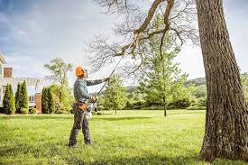 Reliable Contra Costa Centre, CA  Tree Services Solutions